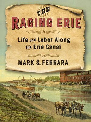 cover image of The Raging Erie